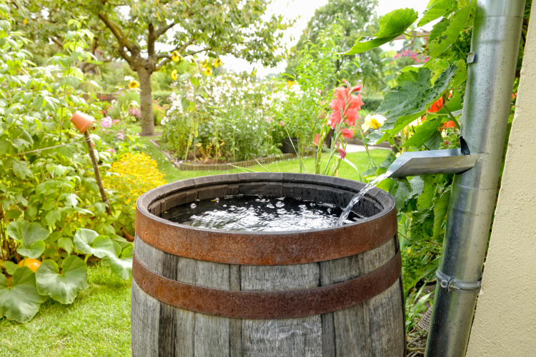 Rain Barrel Tips For USA Water Savings
